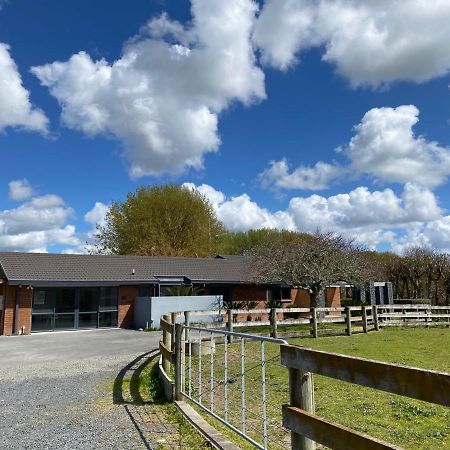Bed and Breakfast Unique Equestrian Lifestyle Tamahere Екстер'єр фото
