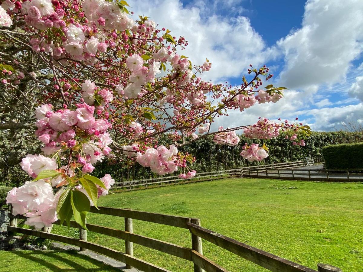 Bed and Breakfast Unique Equestrian Lifestyle Tamahere Екстер'єр фото