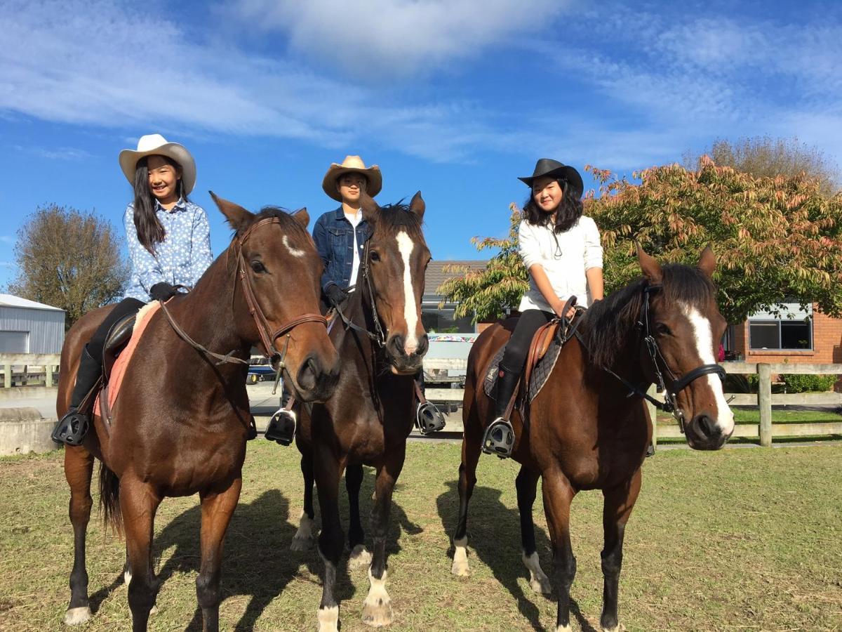 Bed and Breakfast Unique Equestrian Lifestyle Tamahere Екстер'єр фото