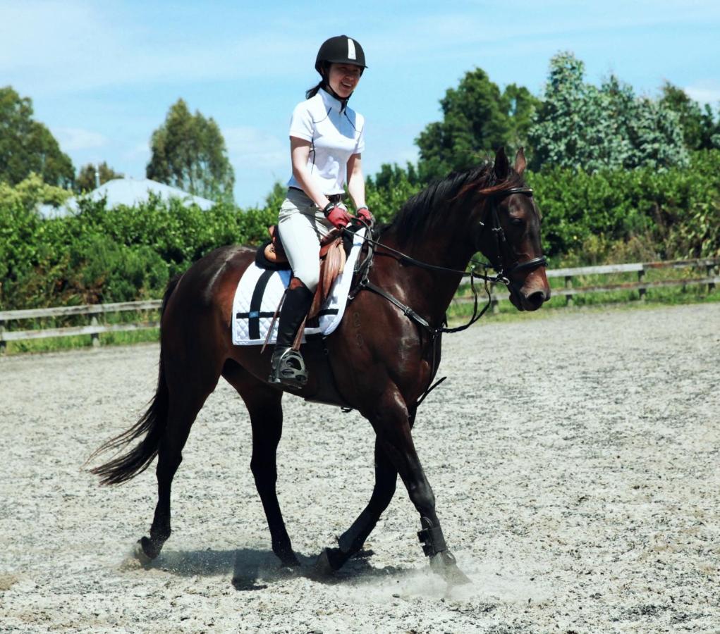 Bed and Breakfast Unique Equestrian Lifestyle Tamahere Екстер'єр фото