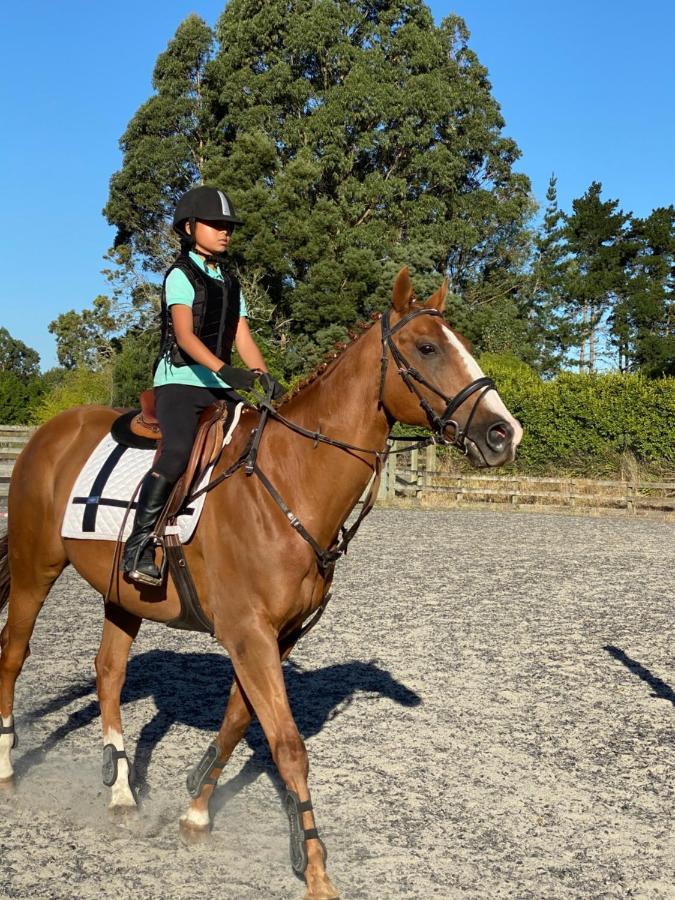 Bed and Breakfast Unique Equestrian Lifestyle Tamahere Екстер'єр фото