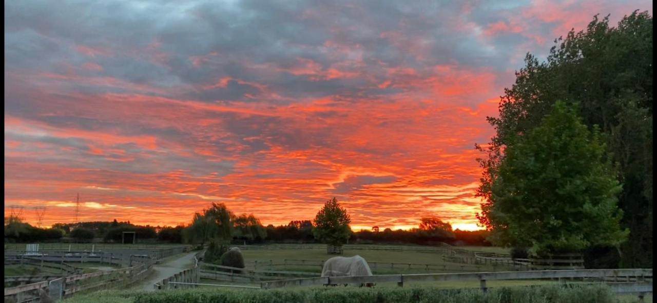 Bed and Breakfast Unique Equestrian Lifestyle Tamahere Екстер'єр фото